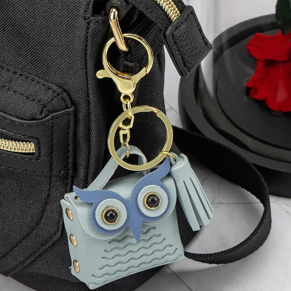 Мини-кошелек для мелочи с брел – обзор и цена Backpack Insert Organizer